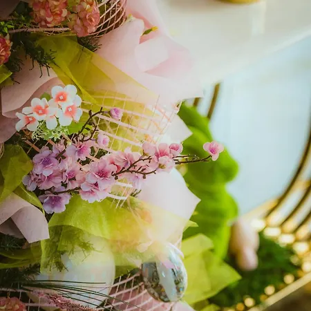 Apartament Hidden Bank: Digger's Dream