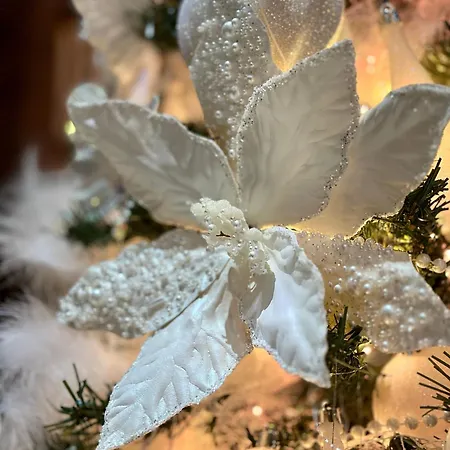 Hidden Bank: Digger's Dream *